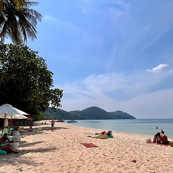 Beachfront View