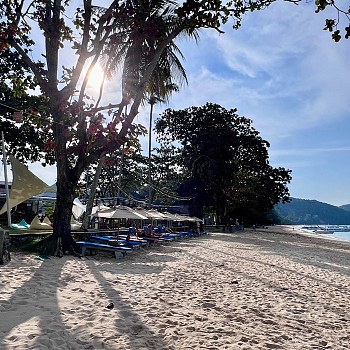 Beachfront View