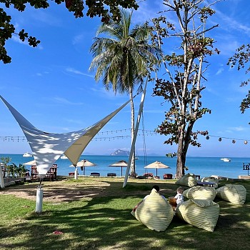 Beachfront View
