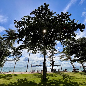 Beachfront View