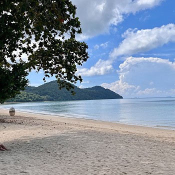 Beachfront View
