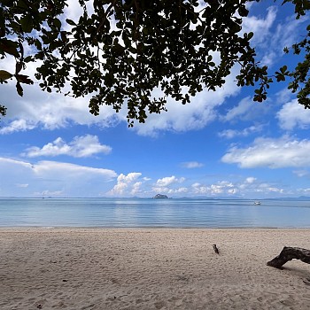Beachfront View